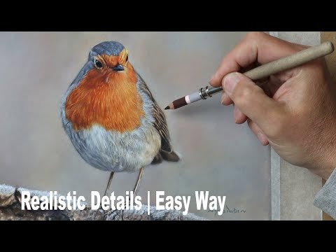How to draw / paint a realistic  Robin | Tutorial ~  Pastel painting