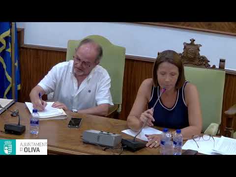 Plenari ordinari 31 juliol 2025 - YouTube
