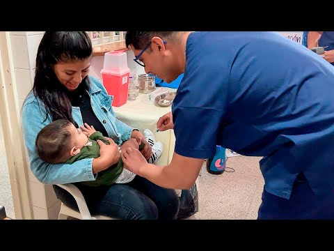 Salta recibió partidas de vacunas para nuevo Calendario Nacional 2026