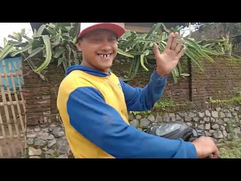 #ojung (ojeg gunung) budaaal....melewati 4 sungai,jalan setapak dan tebing tinggi