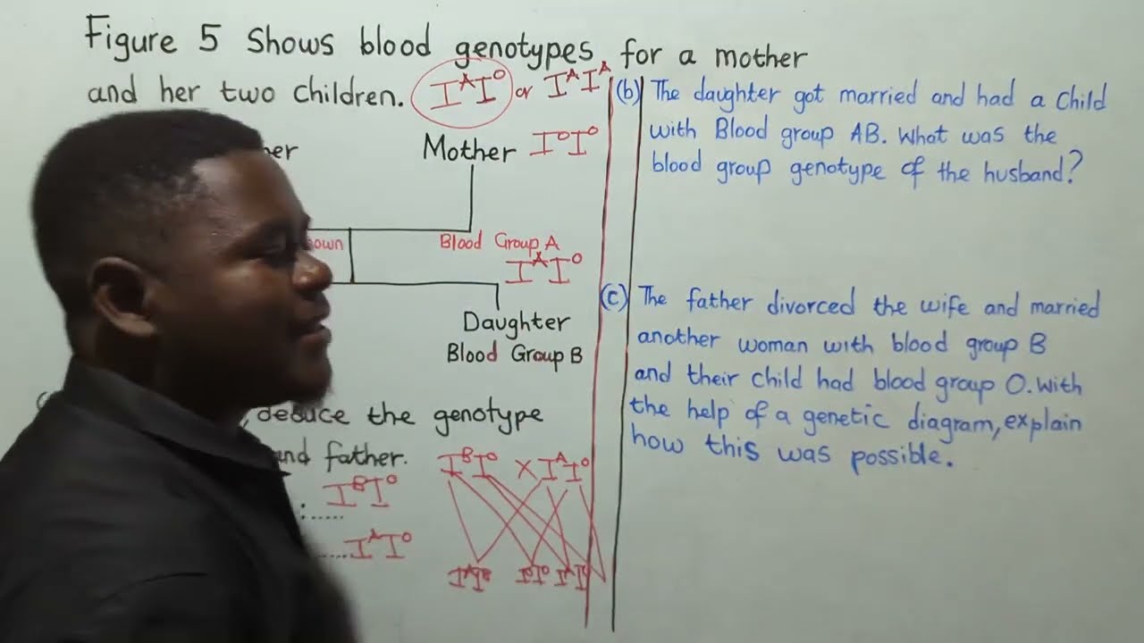 Biology || Genetic exam Questions : genetics diagram 