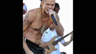 Calle 13-combo imbecil