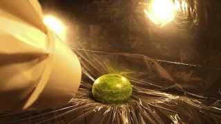 preview picture of video 'Supersonic Ping Pong Ball Cannon Destroys Watermelon'