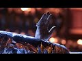 DEVIL Movie Trailer Release Date Promo Video