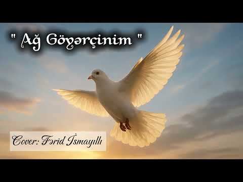 Ağ göyerçinim - Uçdu hara ağ göyərçinim Yeni versiya Cover 2026