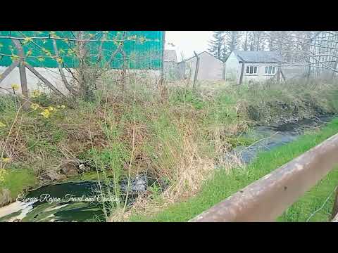 #Ireland 🇮🇪Ireland # Natural Sound#Forest#Park special#6