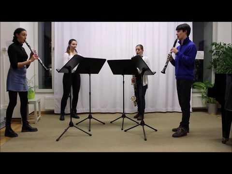 Sebastian Pauzenberger - Idee (The Clartists)