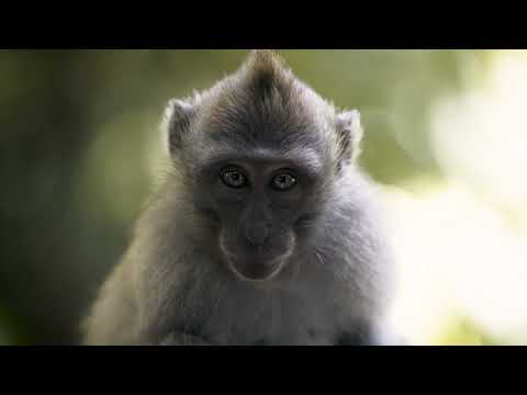 Experience Bali with HIVEGEIST - Jimbaran DPS03