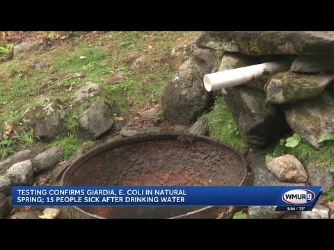 Testing confirms giardia, E. coli in natural spring; 15 people sick after drinking water