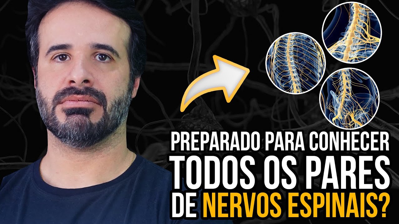PREPARADO PARA CONHECER TODOS OS PARES DE NERVOS ESPINAIS?