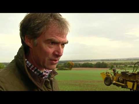 Ackern bis zur letzten Rübe