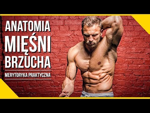 Nastolatków kulturystyka wideo Podstawowe ćwiczenia w sali dla wszystkich grup mięśniowych dla