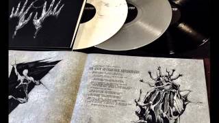 09 the head of the hydra