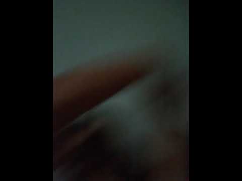 Darkov ludi snimak sa bratom