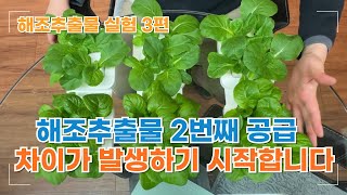 해조추출물 영양제 2번 엽면시비만에 변화가 생겼습니다 | 해조추출물 실험 3편 야라비타 바이오트랙 | 농사 …