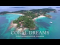 Coral Dreams - YouTube