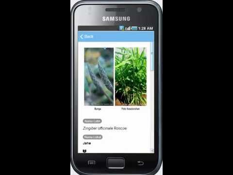 Kamus Taksonomi Tumbuhan Video