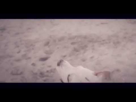 DON DIEGOH & MASTROFABBRO feat LORD MADNESS - CI SIAMO PERSI (VIDEO)