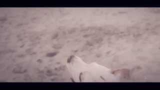 DON DIEGOH & MASTROFABBRO feat LORD MADNESS - CI SIAMO PERSI (VIDEO)