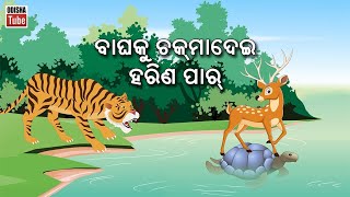 Odia Story | ବାଘକୁ ଚକମା ଦେଇ ହରିଣ ପାର | Odia Kahani | Odia Cartoon Video | Odia Gapa | Odisha Tube