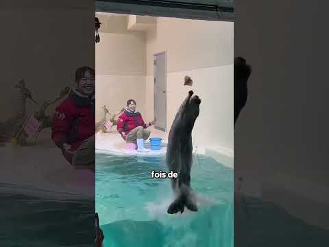 La Petite Loutre Et Sa Petite Déception