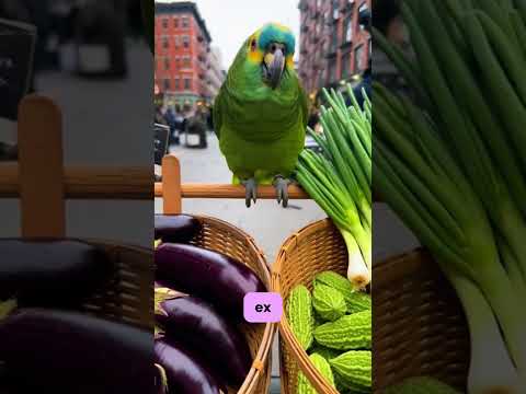 This Parrot Sold Vegetables by Roasting Your Love Life 😭🦜”#️⃣