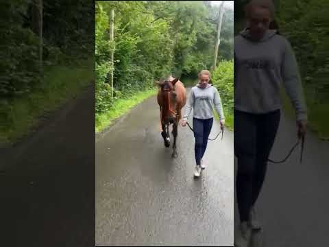 Video 1