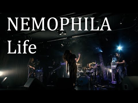 ?LIVE?NEMOPHILA/Life online metal music video by NEMOPHILA