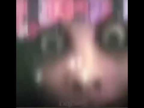 Momo è entrato a casa di un mio amico "nn è monello