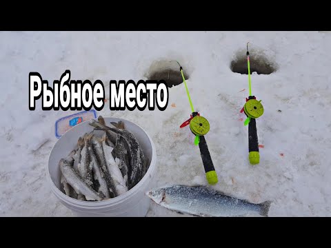 #рыбалка На белом море зимой. Рыбалка на корюха. Нашел рыбное место.