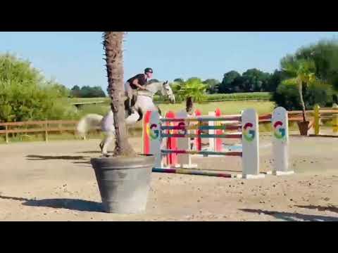 OBC-Carl-O (CELLESTIAL x LANDGOLD) - Video 6 video thumbnail