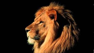 Alfonso Hunter feat. Fabolous - Don&#39;t Stop