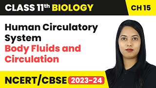 Human Circulatory System - Body Fluids and Circulation | Class 11 Biology Chapter 15 | CBSE