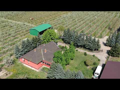 Tanya,tóval,gyümölcsössel eladó Szamosújlakon