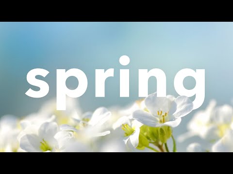 [No Copyright Background Music] Chill Spring Guitar Instrumental Vlog Beat | Lemonade by Ocean Bloom