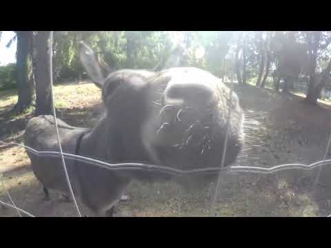 von Spandau/Berlin nach Hiddensee/Rügen mit dem Fahrrad