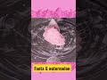 Fanta Watermelon L Icecream Rolls Icecream Watermelon Fanta Ytsort Shorts Viral Food