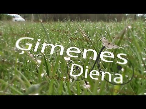 Ģimenes diena Ropaži 2014