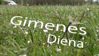 preview picture of video 'Ģimenes diena Ropaži 2014'