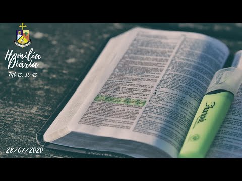 HOMILIA DIÁRIA: Terça-feira, 28/07/2020 (Mt 13, 36-43)