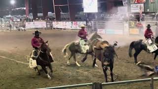 Norco Horseweek Rodeo 2024