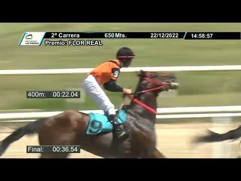 221222 c02 - CON MUCHO RESPETO - HIPODROMO LAS PIEDRAS