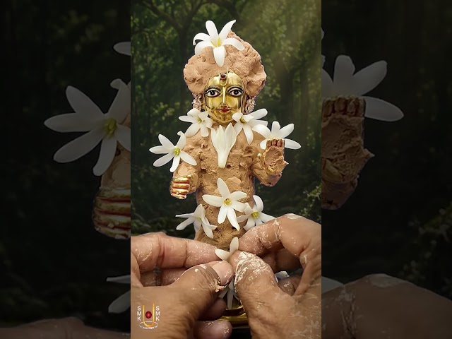 હરિકૃષ્ણ મહારાજ