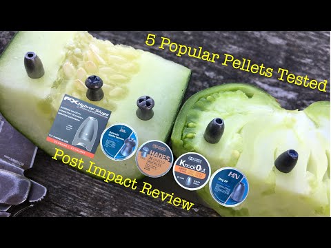 .22 Airgun HollowPoint Pellet and Slug Expansion Test