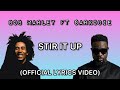 Bob Marley & The Wailers Ft Sarkodie-Stir It Up (Official Lyrics Video)