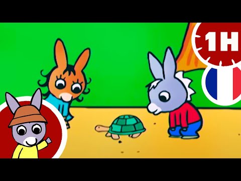 🐢 La tortue de Trotro 🐢 - Dessin animé pour bébé