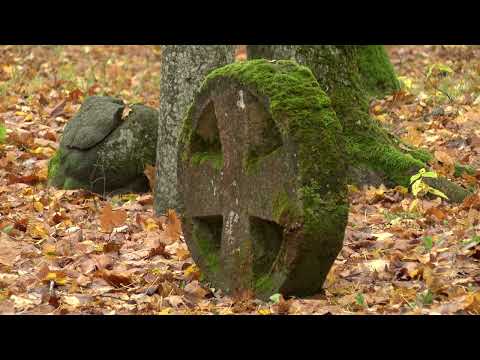 MEŅĢELE upes un mežu ielokā. 2020.