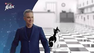 Robbie Williams - Felix cat food   (2025)  (UK)