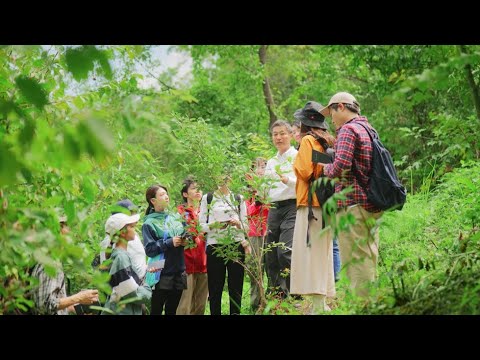 竹中工務店　TVCM「設計に緑を」篇_竹中工務店公式チャンネル Takenaka Corporation Official Channel