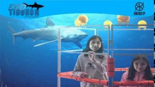 DIA 2 Expo Tiburon276